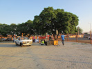 Fun Walk - 14 March 2015